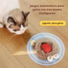 Juguete interactivo para Gatos
