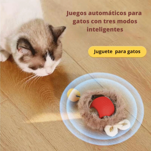 Juguete interactivo para Gatos
