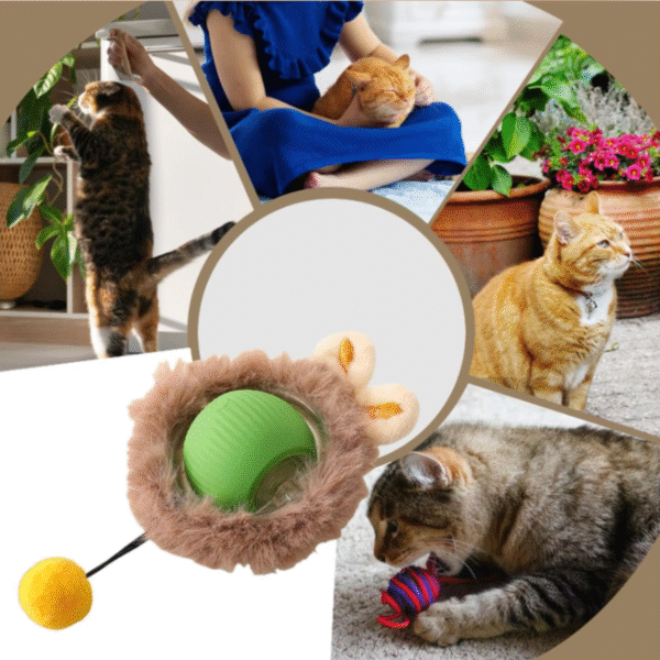 Juguete interactivo para Gatos